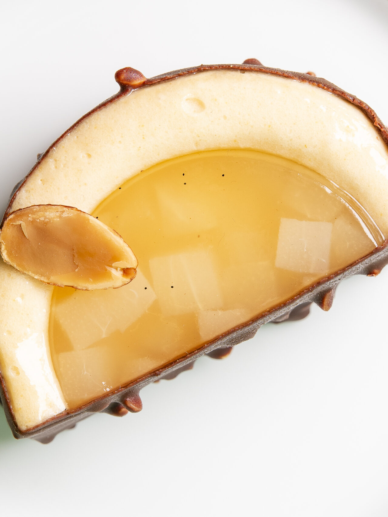 Pepite-Janvier2026-EquinoxLightPhoto-15