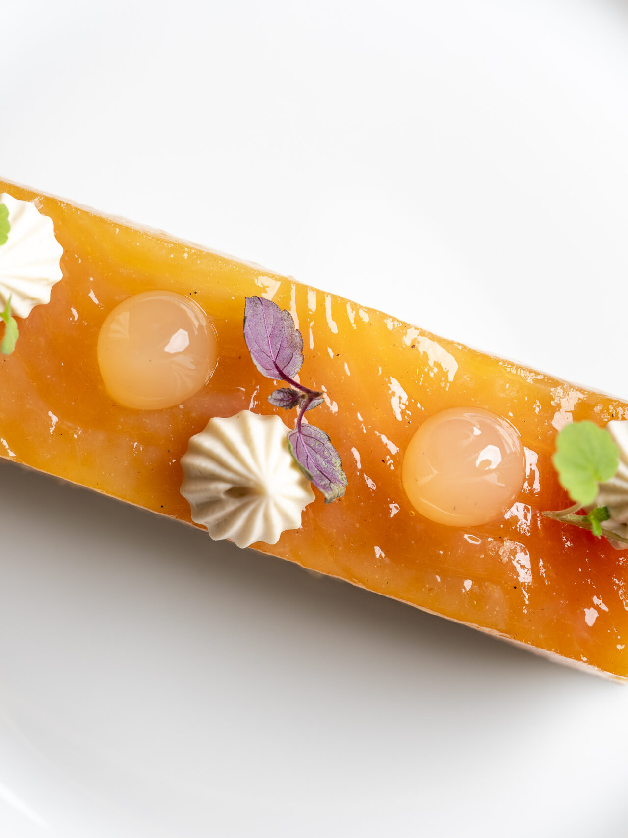 Pepite-Janvier2026-EquinoxLightPhoto-25