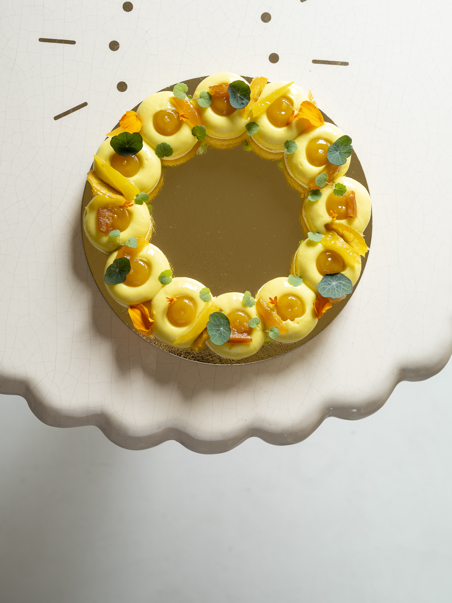 Pepite-Janvier2026-EquinoxLightPhoto-194