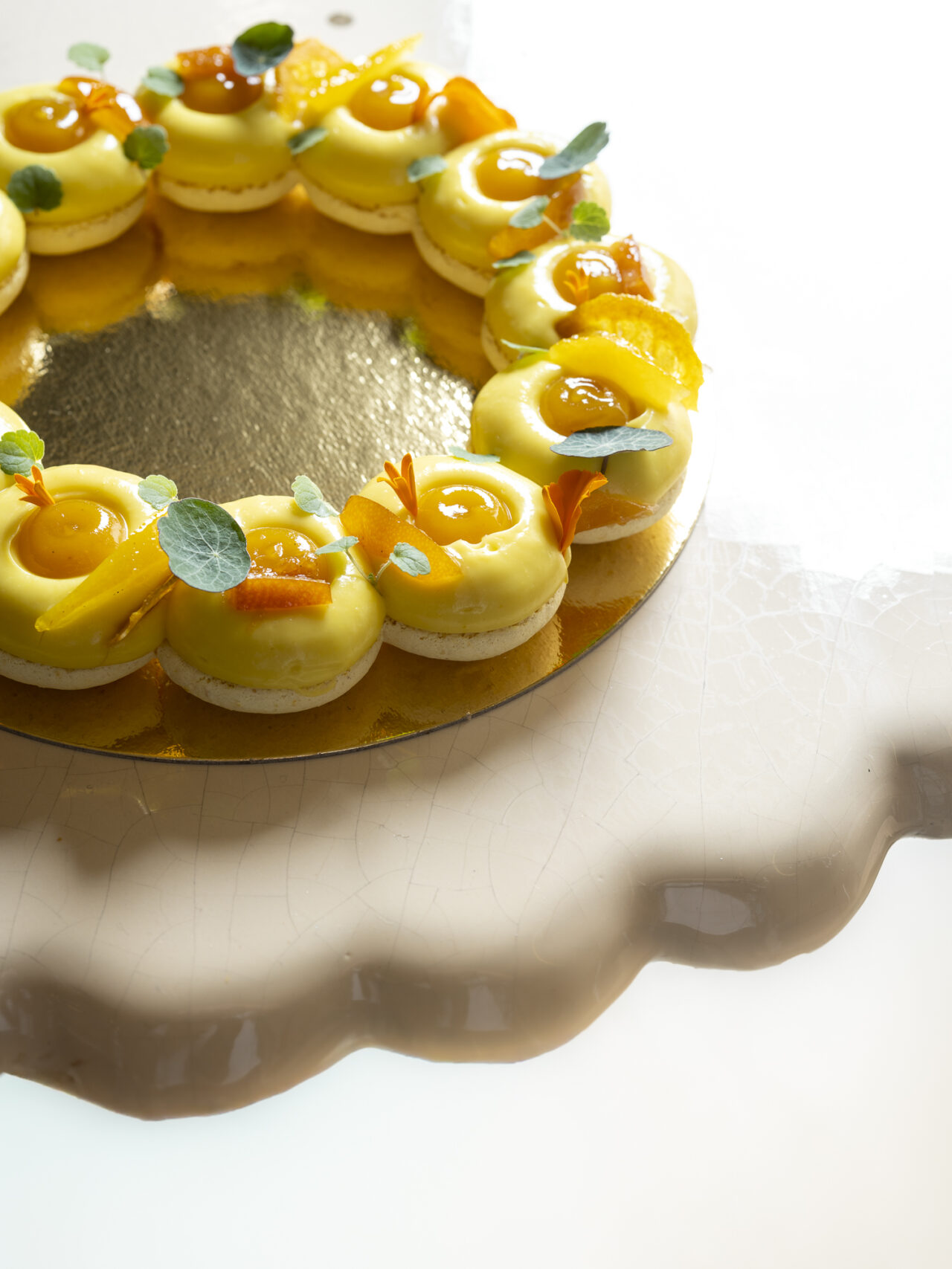 Pepite-Janvier2026-EquinoxLightPhoto-196