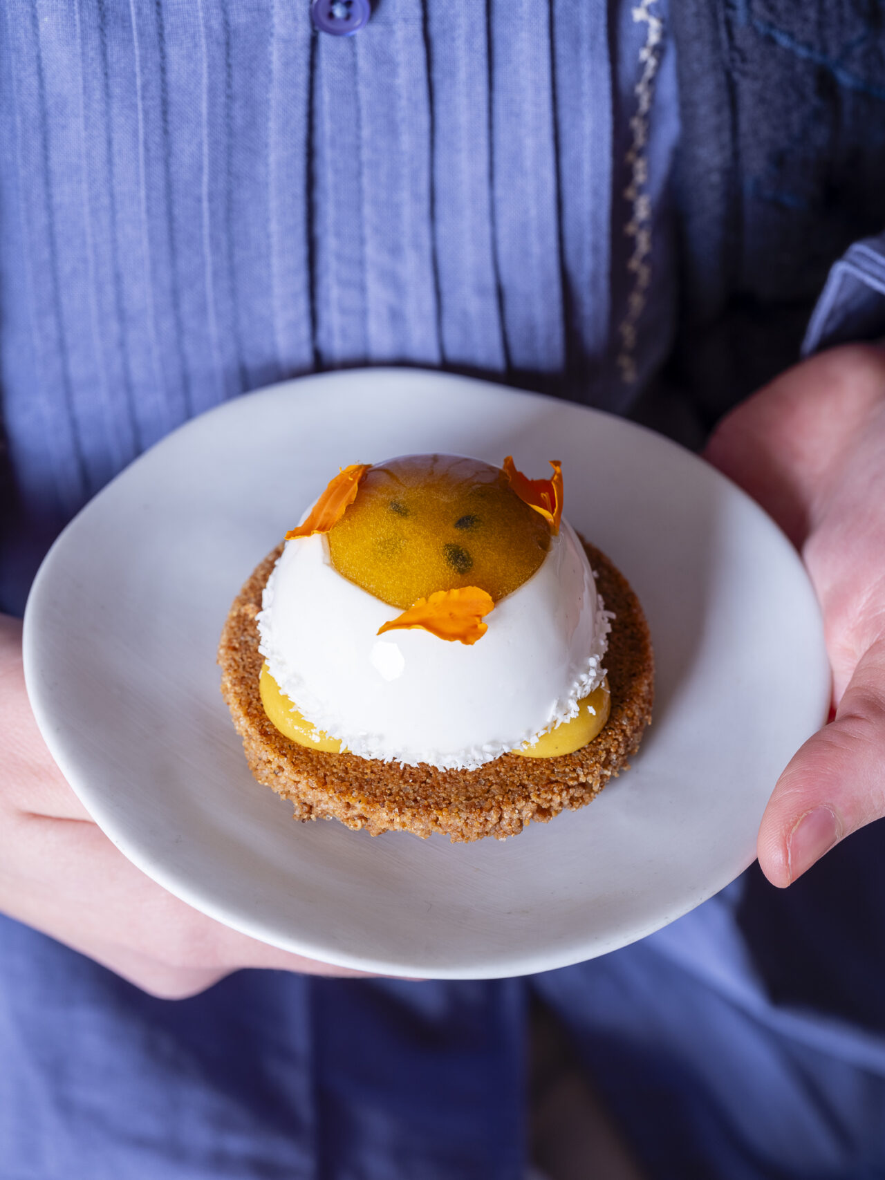 Pepite-Janvier2026-EquinoxLightPhoto-60