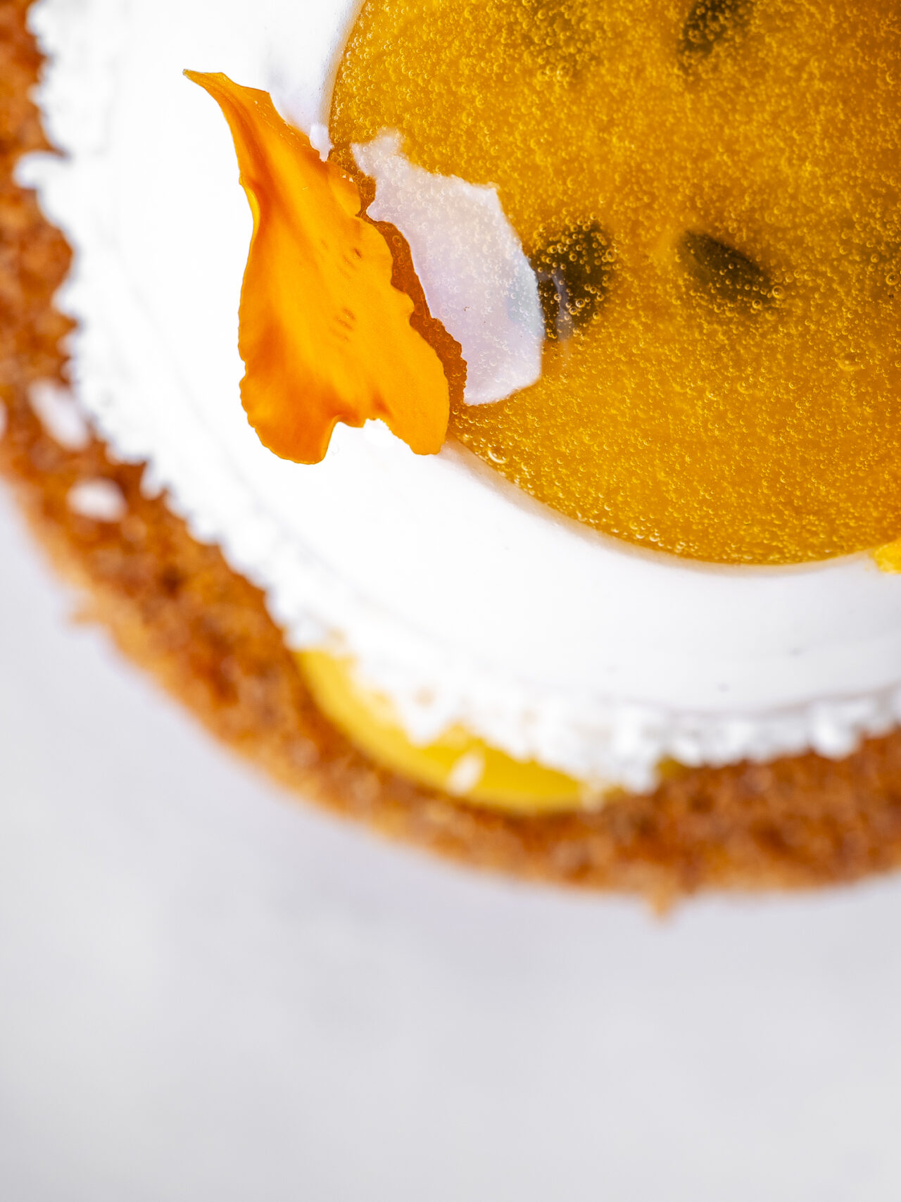 Pepite-Janvier2026-EquinoxLightPhoto-62