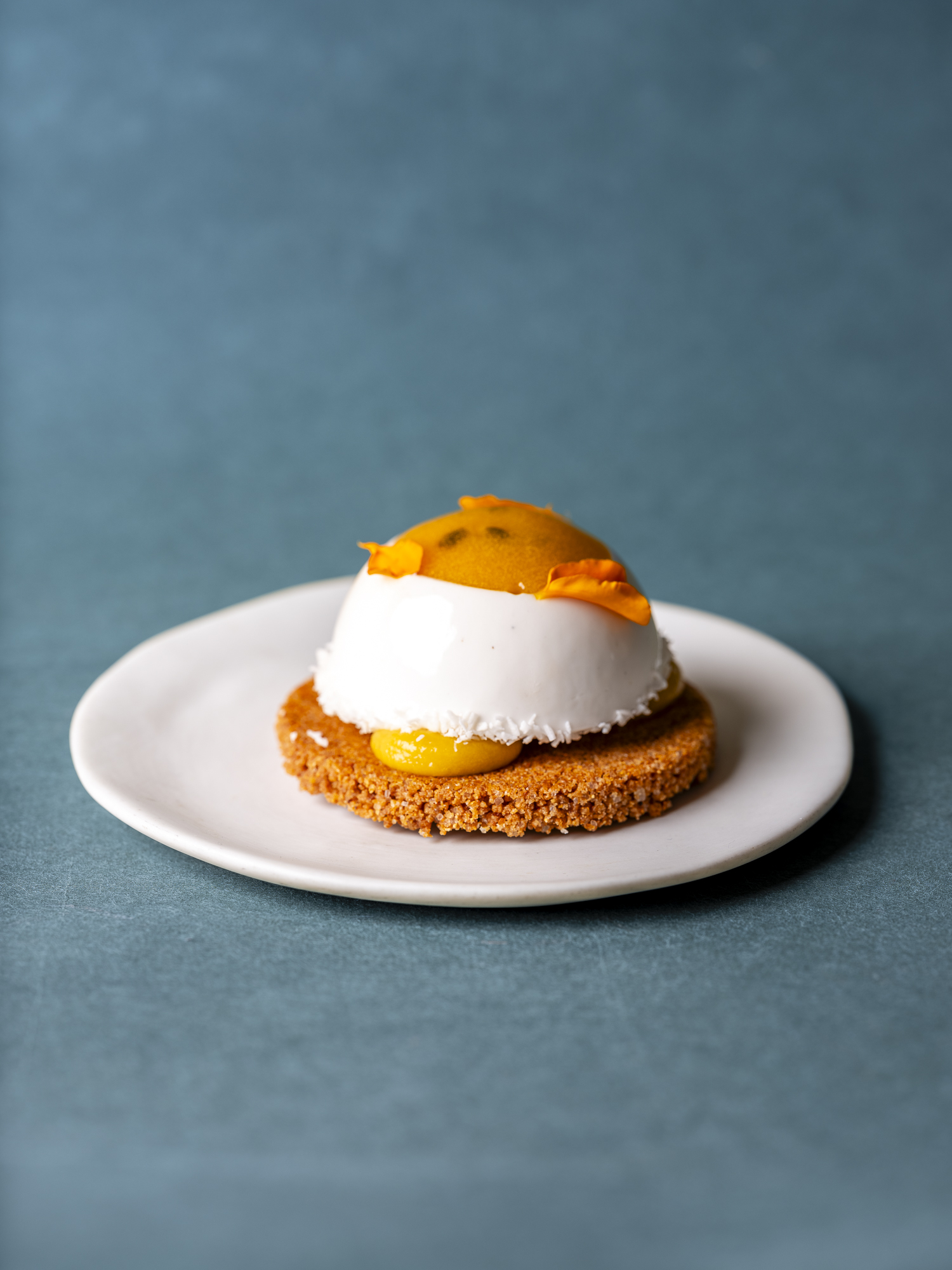 Pepite-Janvier2026-EquinoxLightPhoto-64