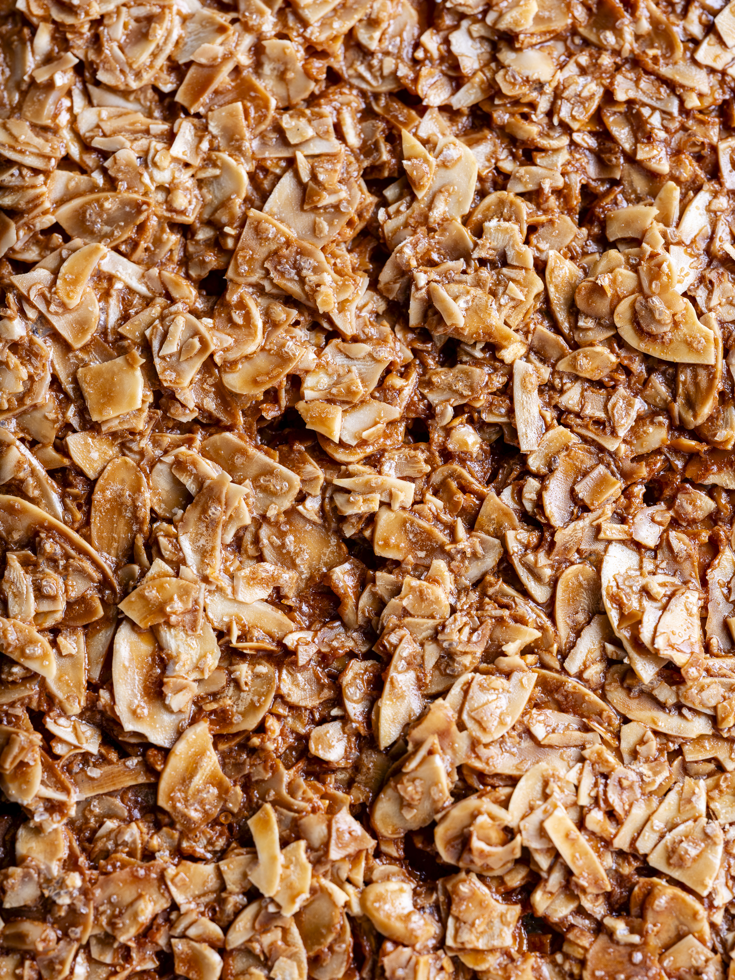 Pepite-Janvier2026-EquinoxLightPhoto-74